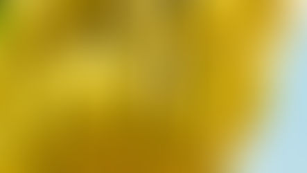 Healthy Thank You to Staff