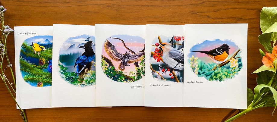 Birds of the Rocky Mountains Card Collection (Set of 5 Cards with Envelopes)