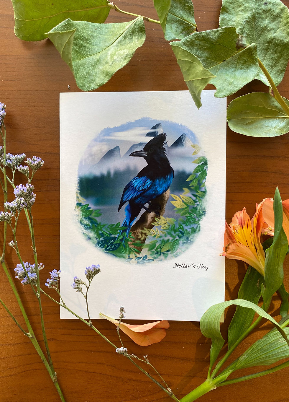 Thumbnail: Birds of the Rocky Mountains Card Collection (Set of 5 Cards with Envelopes)