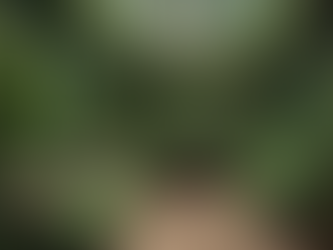 Top Tips for Designing a Custom Garden Room