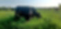 20230718_184156.jpg