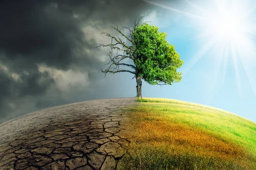 Problemática ambiental y leyes de la ecología