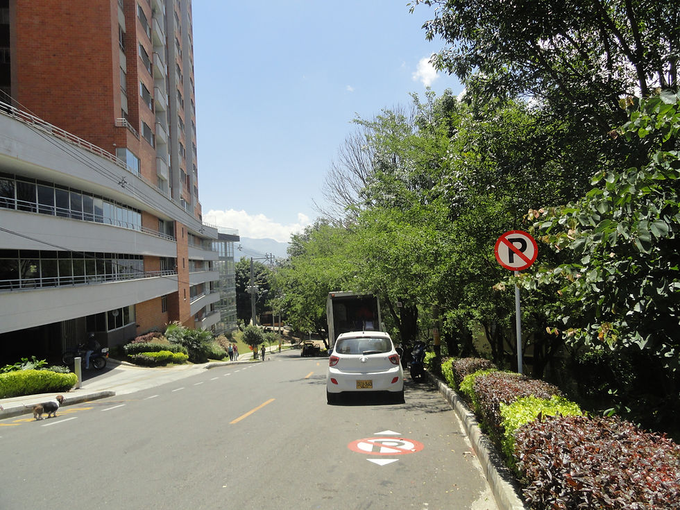DSC00914
