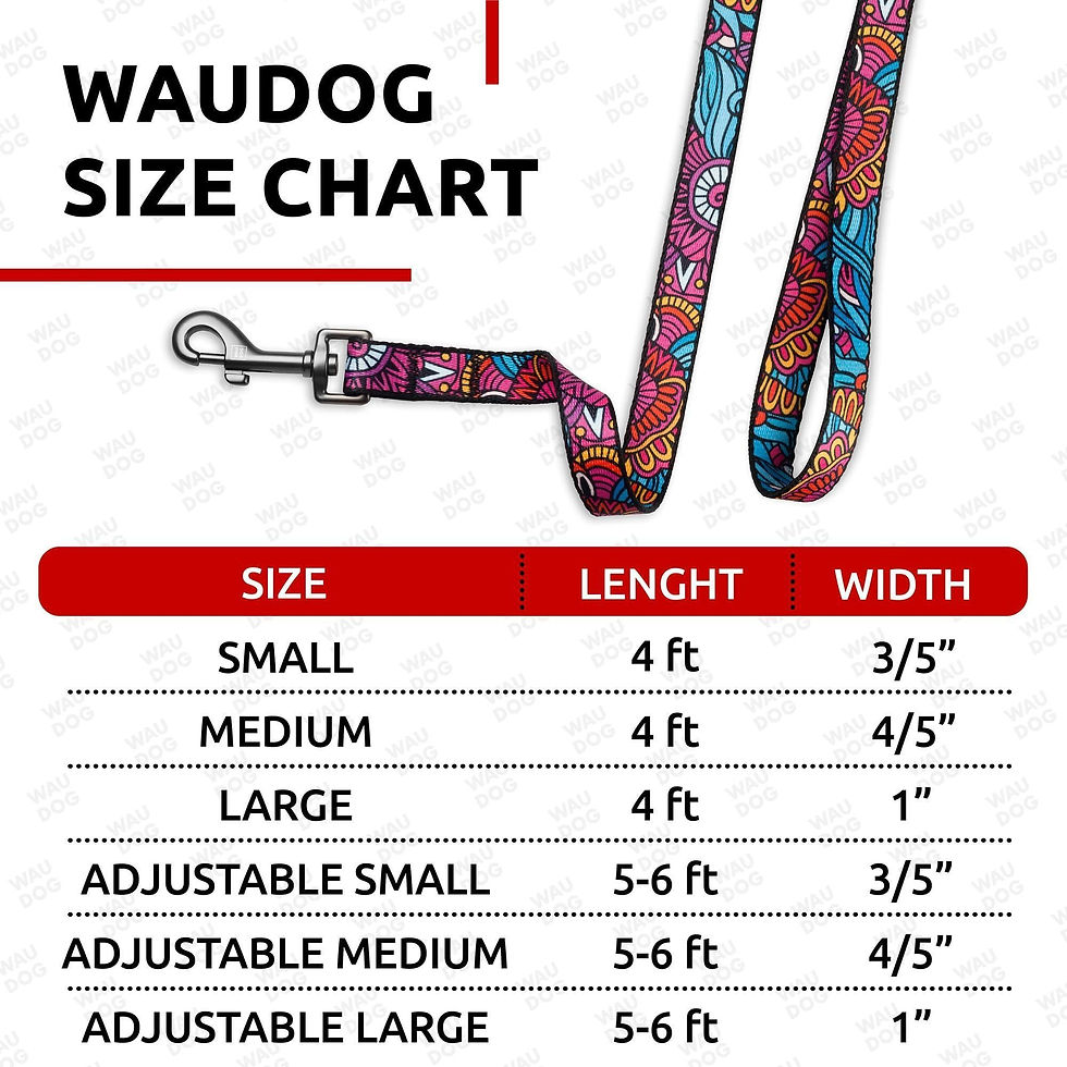 Thumbnail: Nylon Dog Leash for Medium and Large Dogs 4 Ft x 1 inch Wide Summer Color