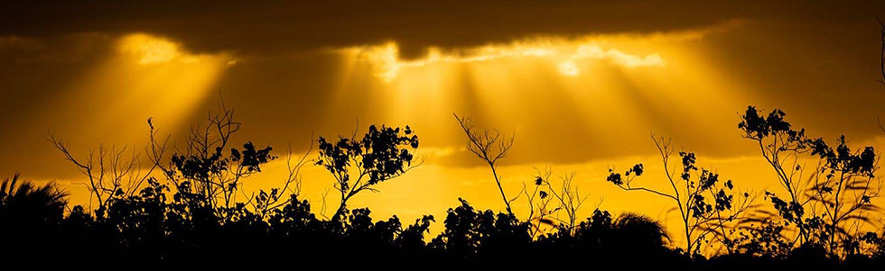 Sambiareise und Heimurlaube