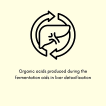 functions of kombucha (1).png