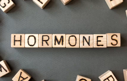 hormones.webp
