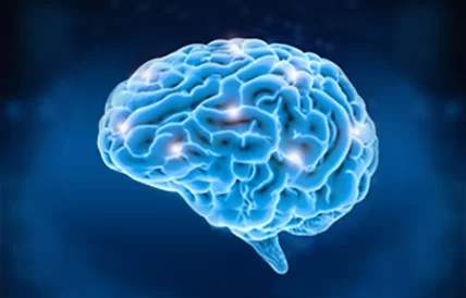 Brain-e1604350857370.webp