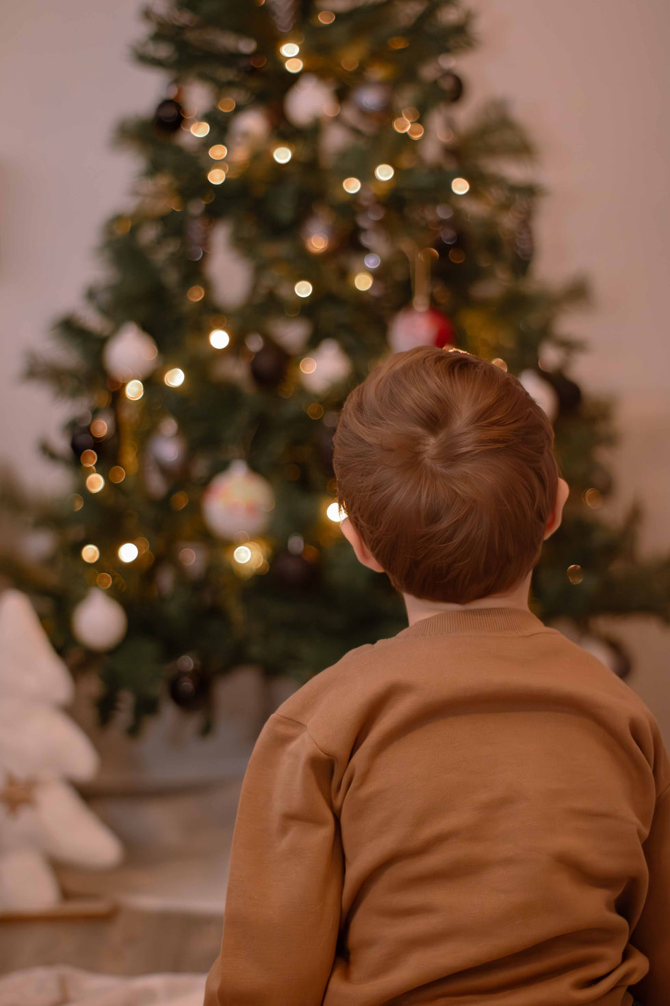 Weihnachten Mini Shooting 2024-3
