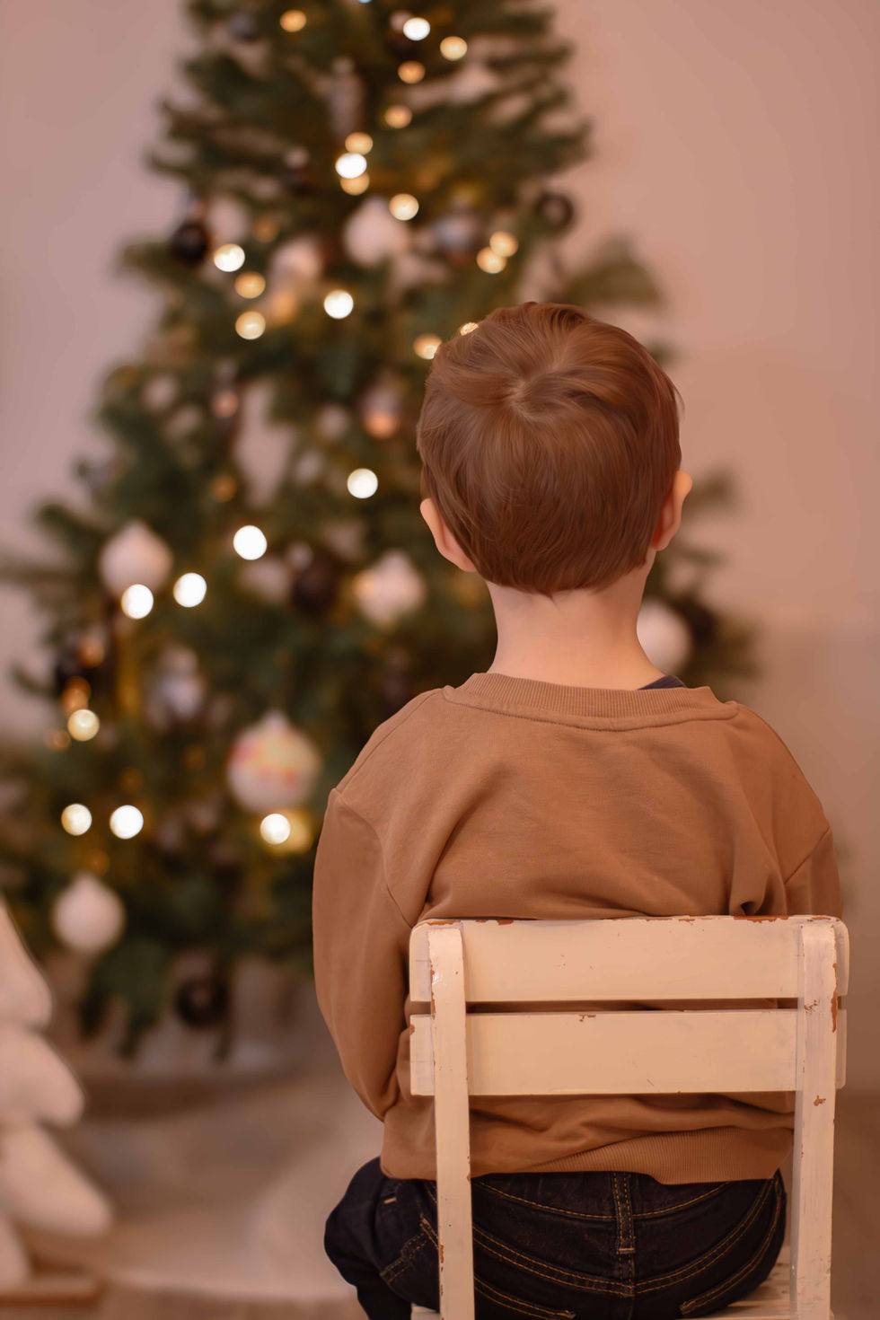 Weihnachten Mini Shooting 2024-1