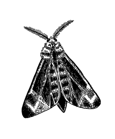 1653647728_250459_gif-url.gif