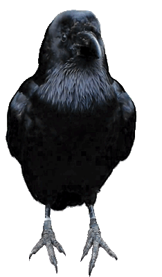 862605eb44824cf4ff40c663ef331855.gif