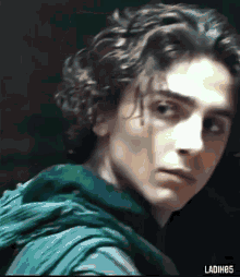 timothee-chalamet-timothee.gif