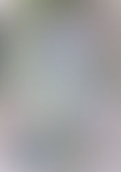 UNHCR Voluntary Repatriation