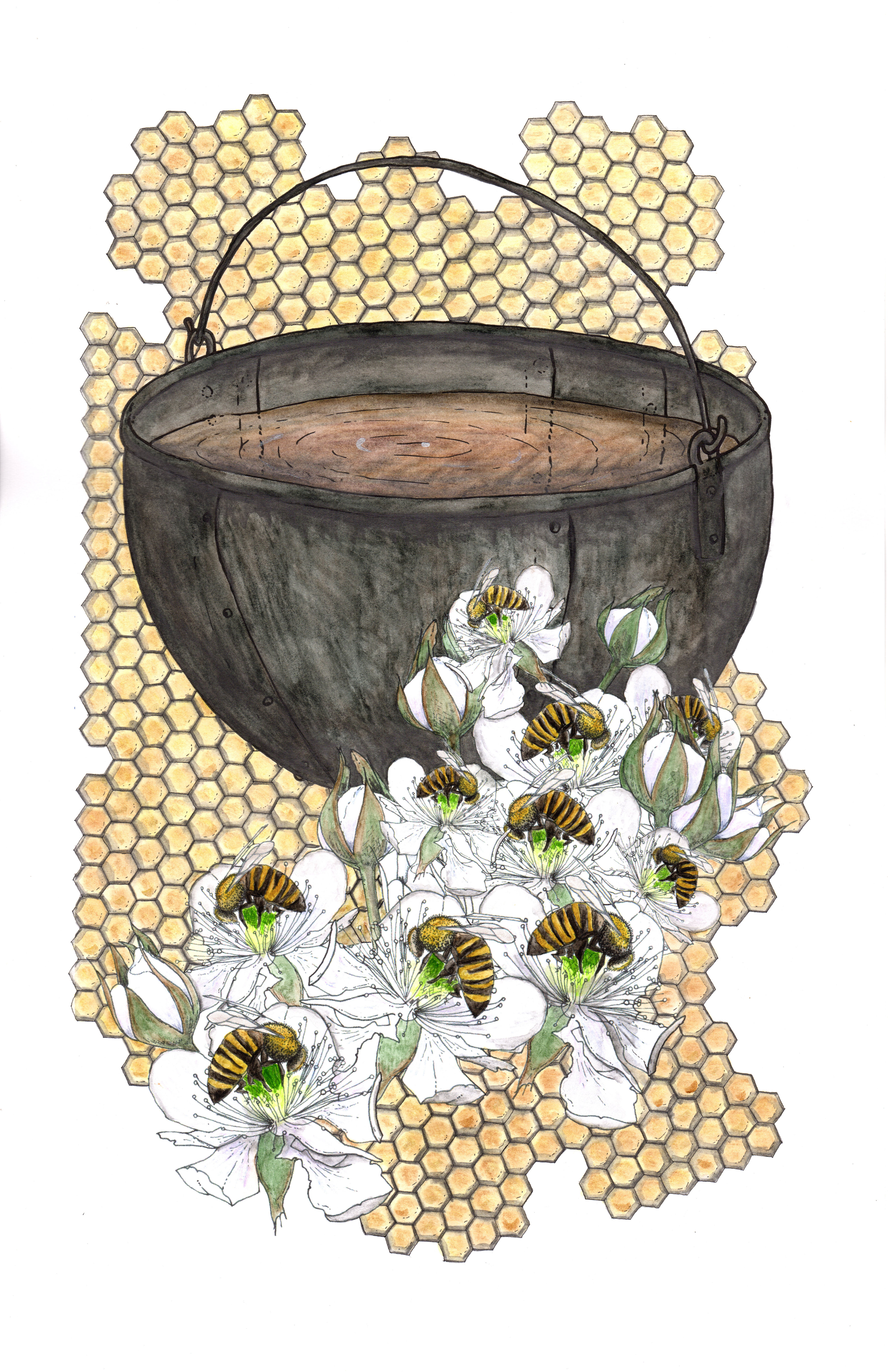 European Black Bees and Iron Cauldron Print