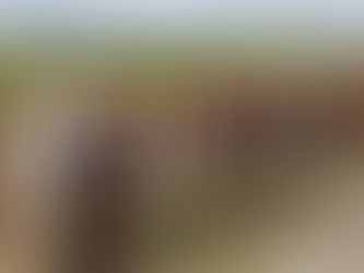 BURMANIA Y LOS ROHINYÁS