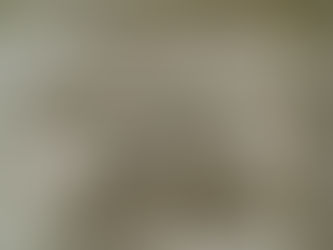 XENOFOBIA EN PANAMÁ