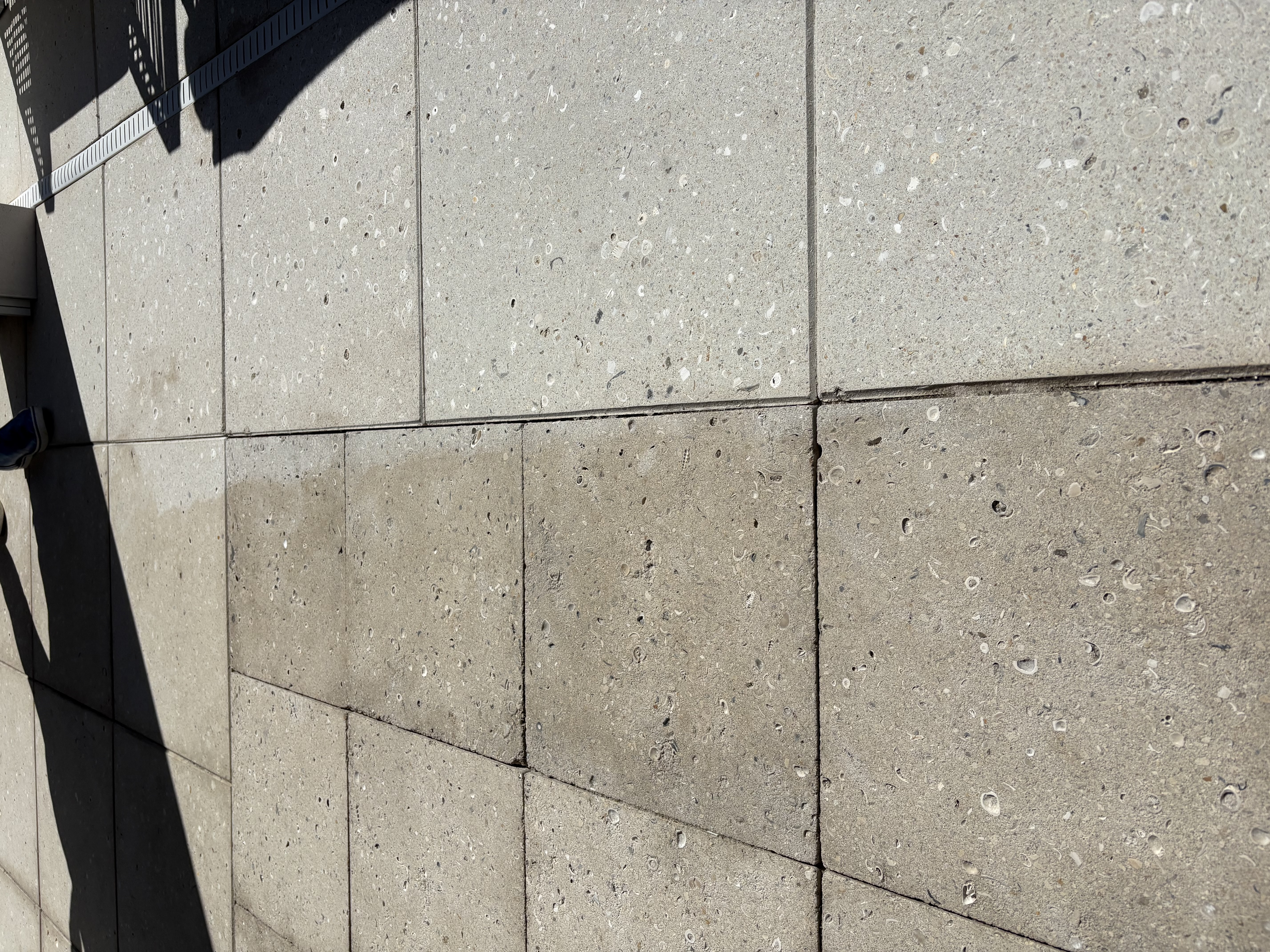 Soft washing and pressure washing services for homes in Sarasota, Florida.