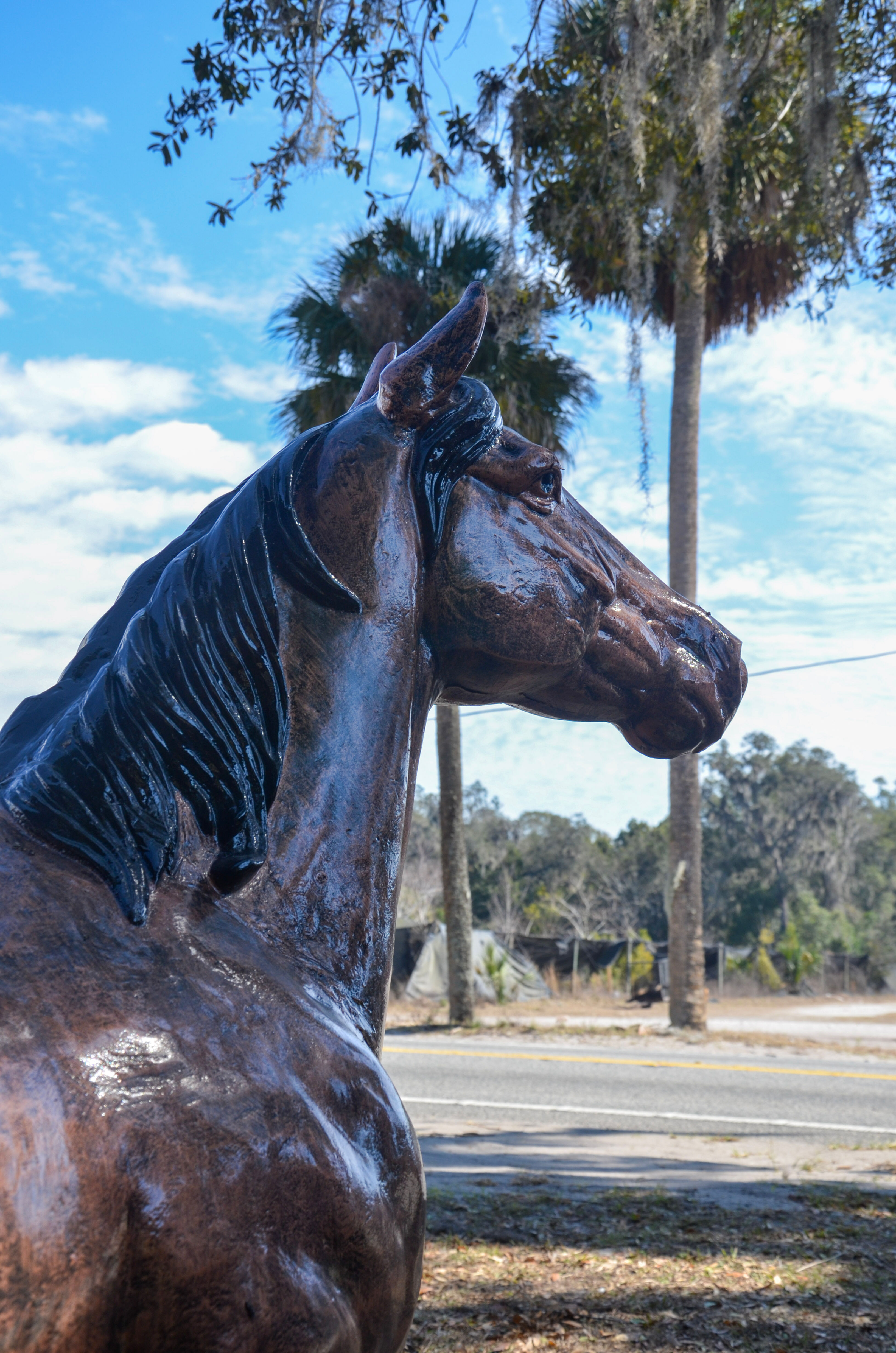 Colt Horse, 16 Hands | Recycled, Rust-Proof Aluminum