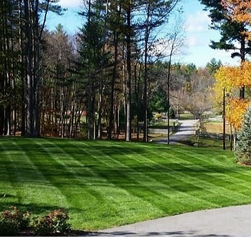 Lawn mowing