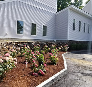 Mulch & Plants Installed