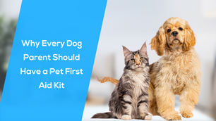 Why Every Fur Parent Should Have a Pet First Aid Kit