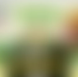 Tlaxiaco, primera fecha del Serial de MTB de la Mixteca