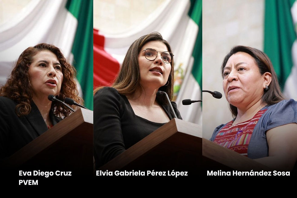 Suspender licencias de conducir a deudores alimentarios, la propuesta de legisladoras del PVEM