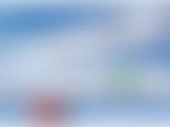 Volaris y Viva acuerdan crear un grupo aéreo mexicano