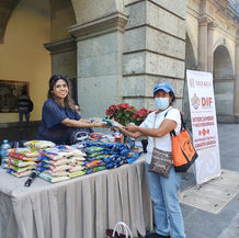 Más oaxaqueños se suman al canje de un kilo de ayuda por una planta de Nochebuena