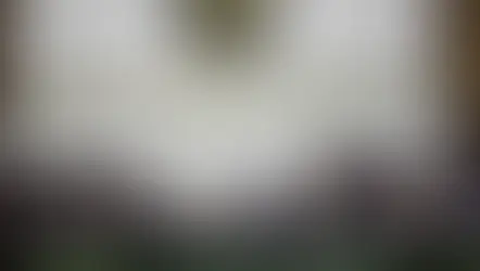 Admite INE nueve candidaturas independientes a la Presidencia