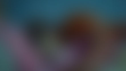 Corto mexicano ‘Hasta encontrarlos’ gana el ‘Oscar estudiantil’