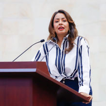 Presenta Mariana Benítez iniciativa para crear orden de protección a menores sustraídos por el padre