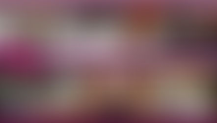 Aprueba IEEPCO candidaturas a diputaciones para las elecciones 2024