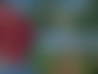 Subsidios hasta de 90% a las empresas que inviertan en el Istmo de Tehuantepec