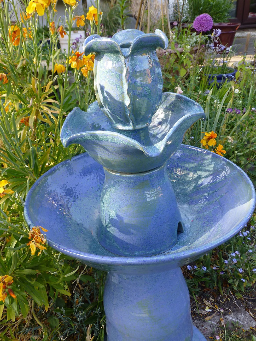 18359121_1557550004295979_3638824722044993441_o