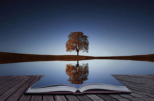 reflection.jpeg