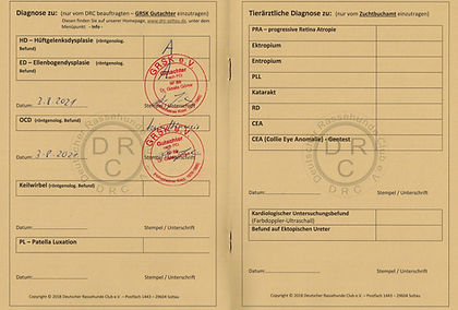 Baia Ahnenpass.jpg
