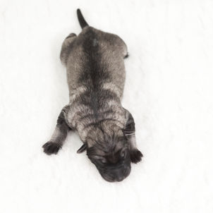 fynn-2.JPG