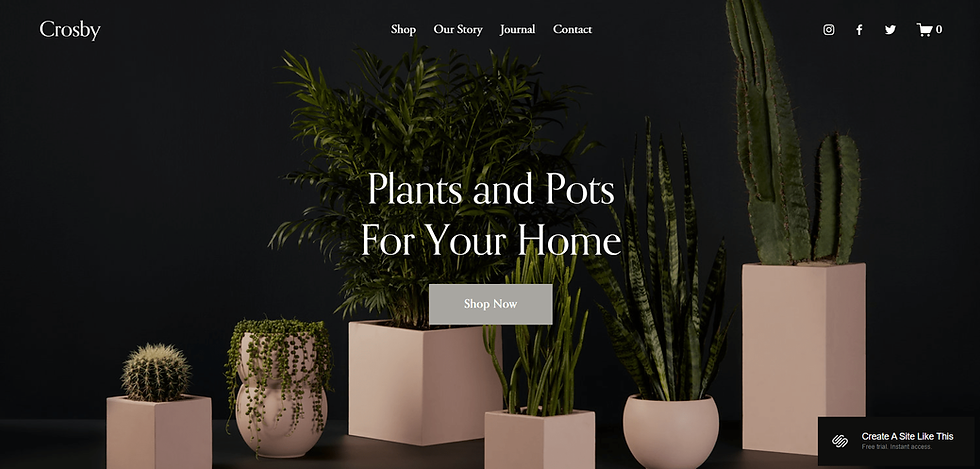 18 Best Florist Website Templates of 2024