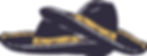 Icon - Mango & Indigo.jpg