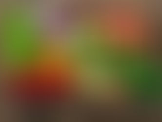 Eating Healthy On A Budget Is POSSIBLE!