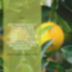 un parfum huiles naturelles