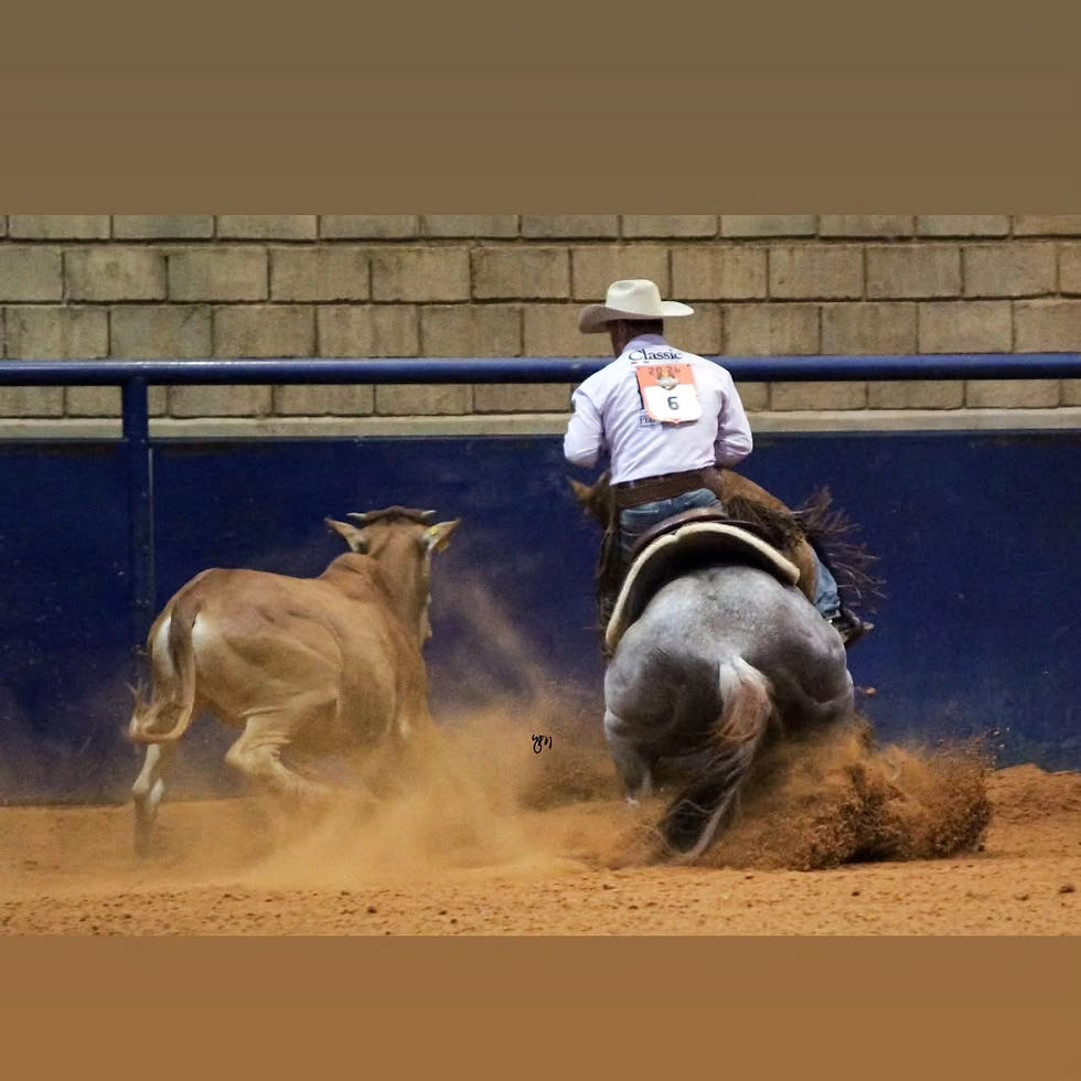 Conheça um pouco da história da Marinaldo Pegos, Campeão do Desafio do Vaqueiro