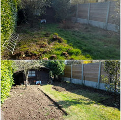 Création espace potager.jpg