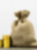 Hong Kong BUD Funding specialist gain coins