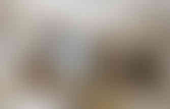 WhatsApp Image 2025-02-12 at 10.22.27_4585870c.jpg