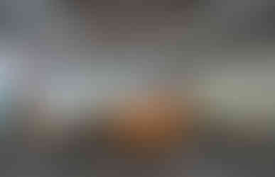 ZS ASSOCIATED_VIEW 1.JPG