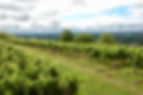 Point de vue de la Croix