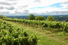 Point de vue de la Croix